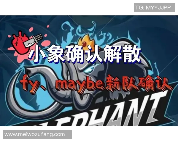 2021dota2小象比赛-探究分析 2021 DOTA2 小象赛事盛况及其意义影响-2021dota2小象比赛